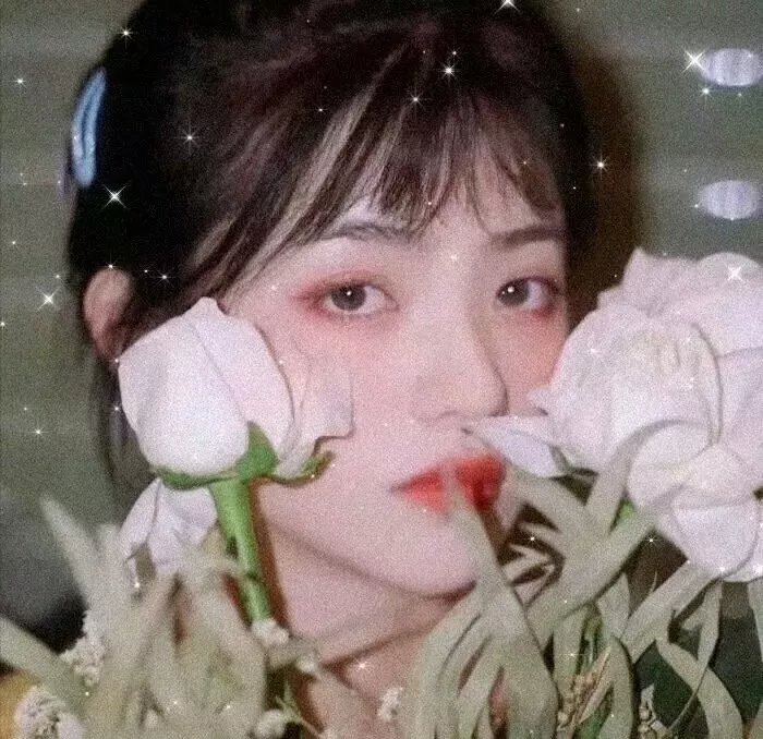 红色家族